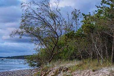 中国青少年篮球发展政策落实现状及优化方案研究，青少年篮球发展现状及对策研究