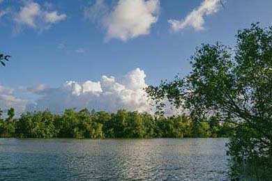 中国青少年篮球发展政策落实现状及优化方案研究，青少年篮球发展现状及对策研究