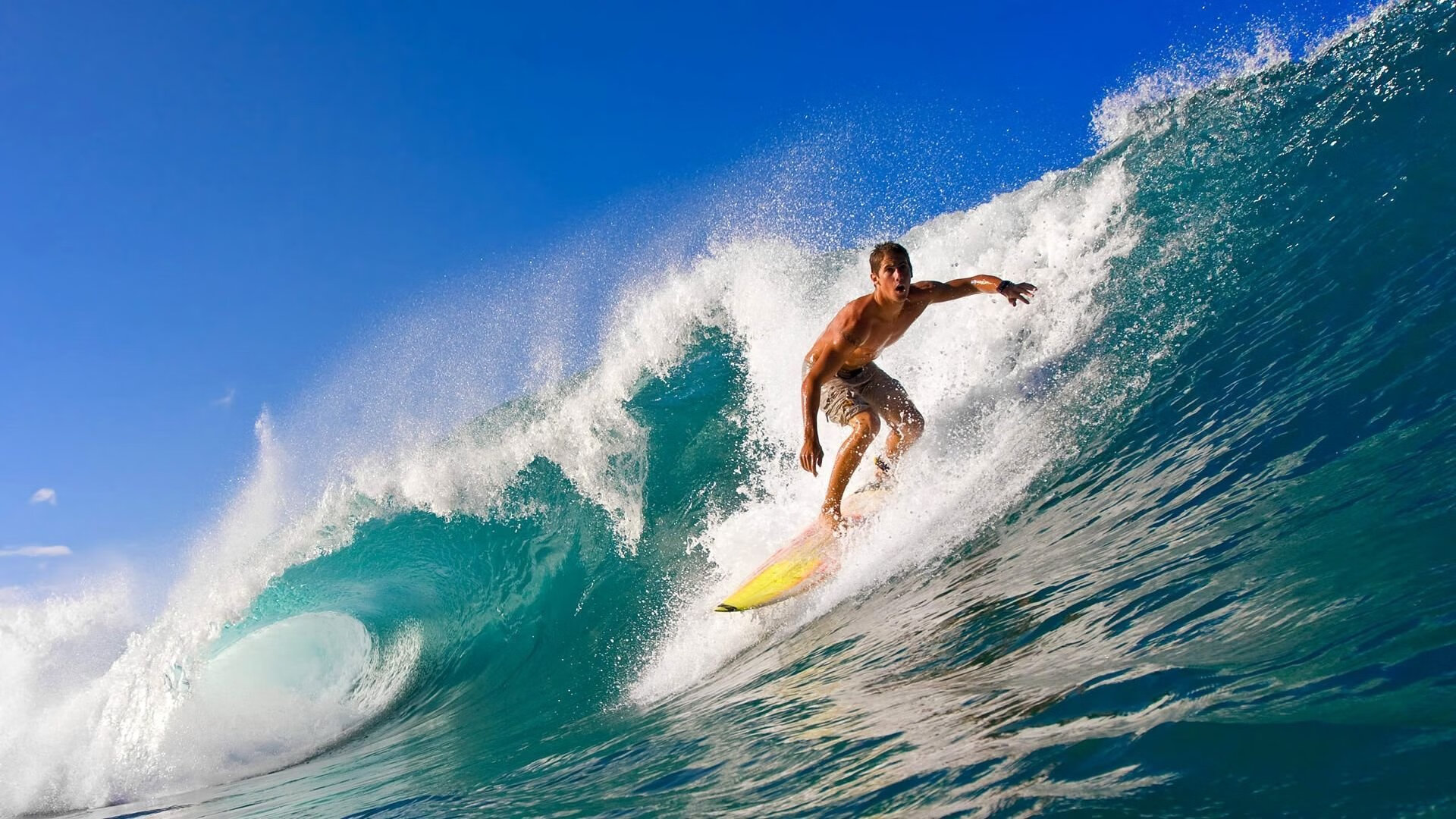 未来之路：Chinese Taipei体育团队如何持续崛起